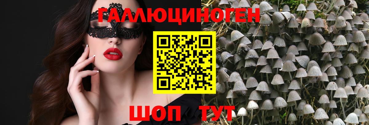 Псилоцибиновые грибы мицелий Сызрань