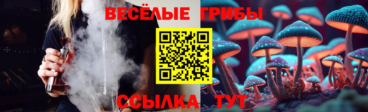 Псилоцибиновые грибы мицелий  Вход с VPN  Сызрань 